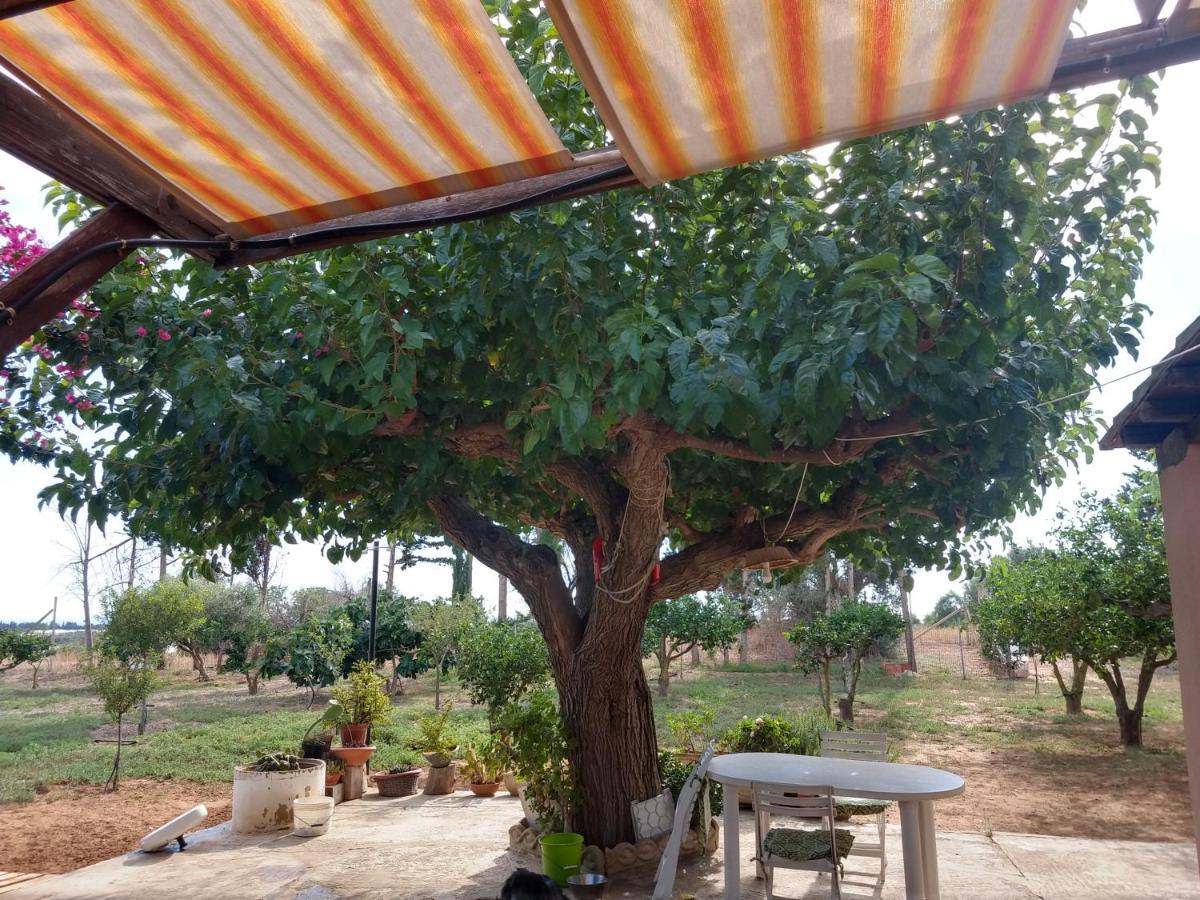 Il Gazebo Bed and Breakfast Scoglitti Buitenkant foto