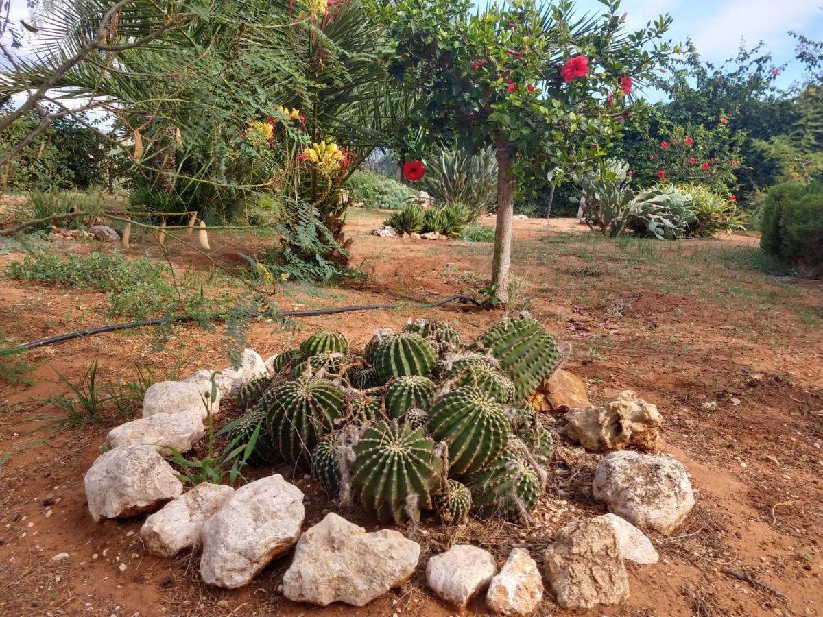 Il Gazebo Bed and Breakfast Scoglitti Buitenkant foto